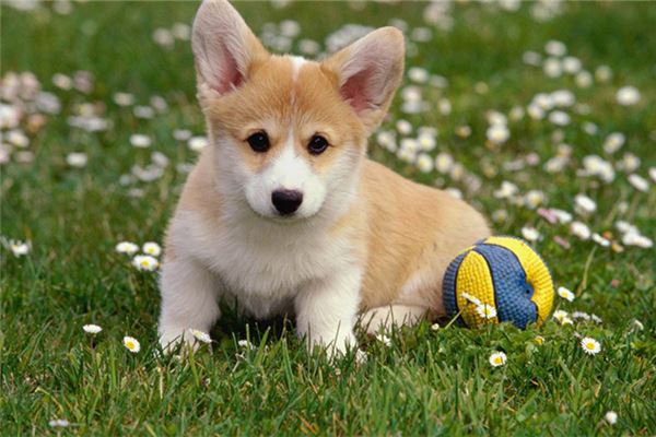 DX-Taper measuring glass